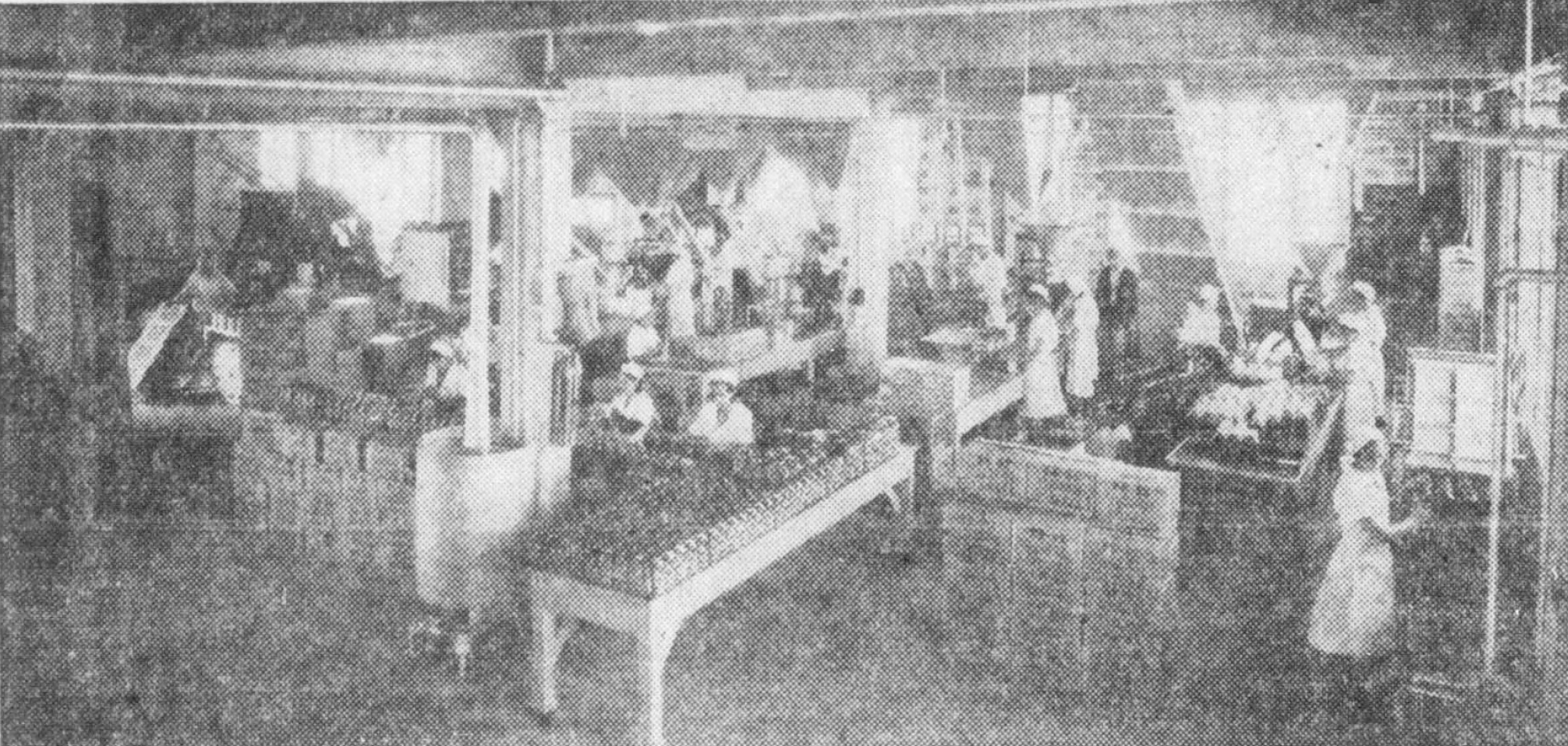 Wide interior halftone of the H and H packing department with workers in white aprons along long conveyor and fill tables, San Antonio Light, 21 Nov 1937