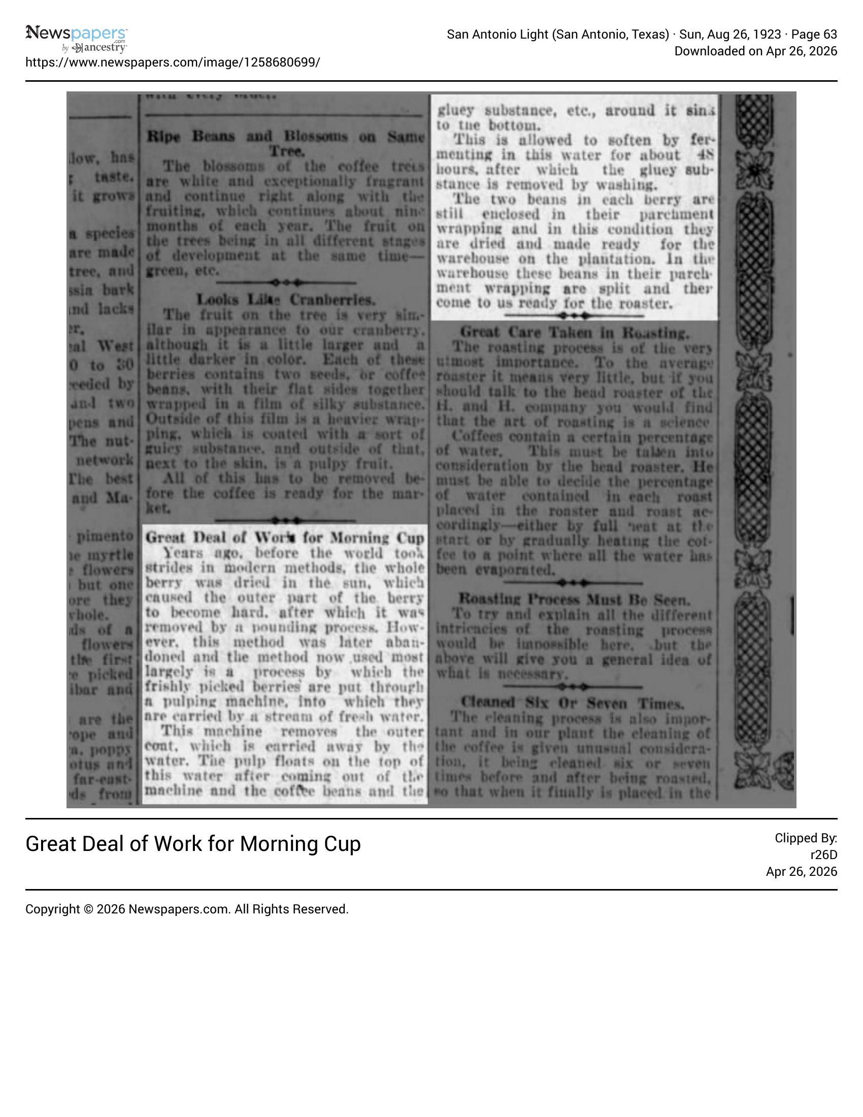 Columns on coffee cherry, processing, and roasting; San Antonio Light, 26 Aug 1923, page 63