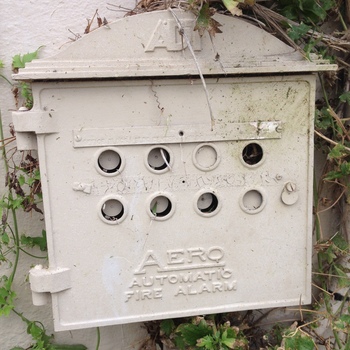 **2 June 2014** (**Apple iPhone 5**) — weathered **Aero Automatic Fire Alarm** cast enclosure on **stucco** at the Hoffmann-Hayman site: embossed **AFA / AERO / AUTOMATIC FIRE ALARM** lettering, twin rows of circular indicator ports, crazed paint; **vines** framing the box.