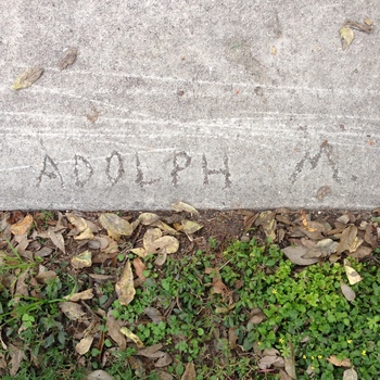 Steep downward-looking photograph across a weathered pale-grey sidewalk slab on **Delaware Street beside the Hoffmann-Hayman factory entrance gate** — coarse drag **horizontal striations** across the floated concrete lift, lower edge bordering a grassy verge scattered with browned leaves where small yellow composite wildflowers poke through (**17 December 2014**, **iPhone 5**) — inscribed into the hardened surface toward the slab **margin** (wet-concrete handwriting from when the pavement was poured or struck) reads **ADOLPH** then a spaced gap followed by **M.** capped with **serif-ish block capitals**, the letter grooves sunk and edged with grime so the name reads charcoal-dark against smoother paste — read here as **Adolph Menger**, of the **Menger–Hoffmann** family lineage at the center of Hoffmann-Hayman and this plant (see **[People]({{ site.baseurl }}/people/)**); **[Companion JESSE inscription on the same walk](/assets/images/gallery/2014-12-17-delaware-street-sidewalk-jesse-wet-concrete-inscription.jpg)** the same **17 December 2014** outing; **street-front documentation** paired in **this gallery** with the **[G — M — A pavement survey marker](/assets/images/gallery/factory-delaware-street-survey-marker.jpg)** on the **same Delaware curb**, photographed **about a decade later**