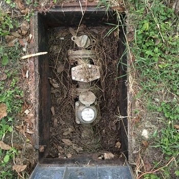 **1 October 2016** (**Apple iPhone 6s**) — open **in-grade utility box** at Hoffmann-Hayman: **Neptune** brand **meter** and **valve tree** in a rusted frame, pine needles and silt, grass at rim — **site water service** documentation.